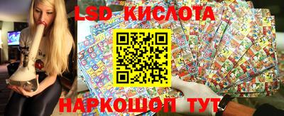 дживик Моздок