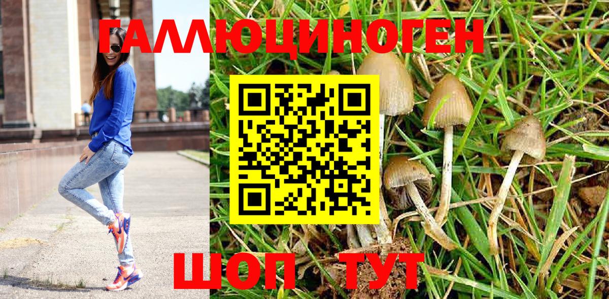 Галлюциногенные грибы мицелий Ростов Великий