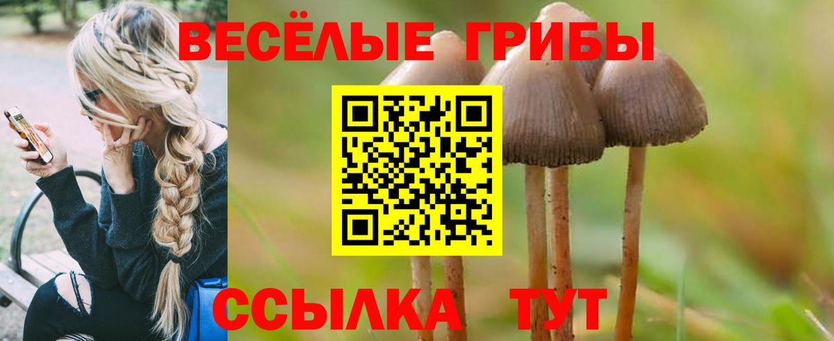 Псилоцибиновые грибы мухоморы  Вход с VPN  Ростов Великий 