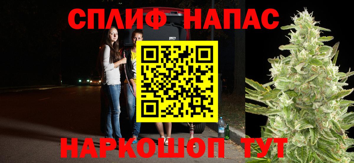 Конопля сатива Ростов Великий